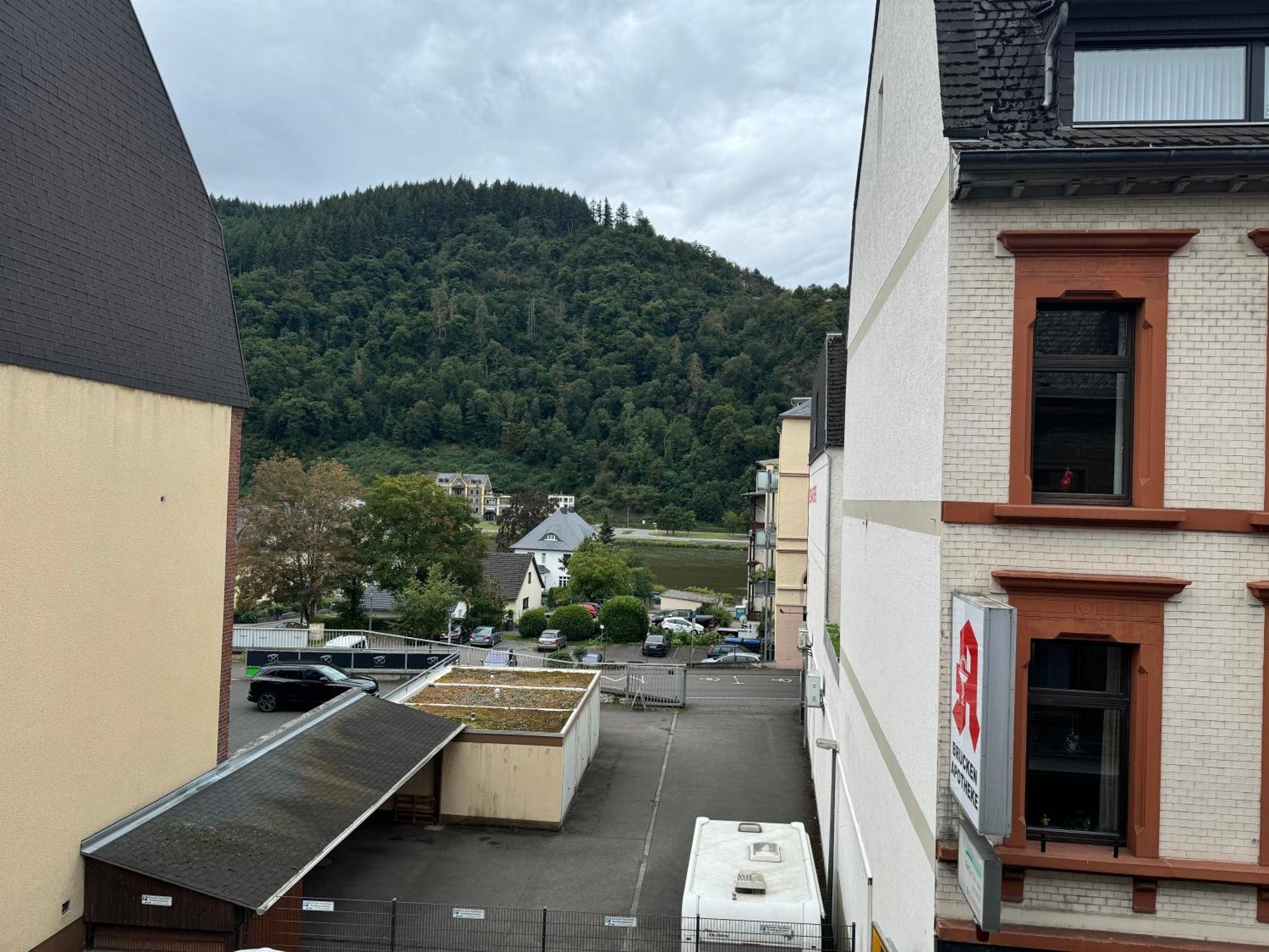 Moselblick *